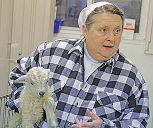 Sr. Stephen Bloesl, a Sister Servant of Christ the King, carries a newborn goat on Friday, April 18, to show residents of Villa Loretto Nursing Home in Mt. Calvary where she serves as director of nursing services. (Catholic Herald photo by Steve Wideman))