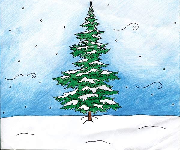 Papa and the Christmas tree Catholic Herald