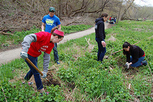 Students from Cardinal Stritch University plant trees at the Urban Ecology Center in the Riverwest neighborhood of Milwaukee on Friday, April 29, as part of the school’s daylong service day. (Catholic Herald photo by Ricardo Torres)