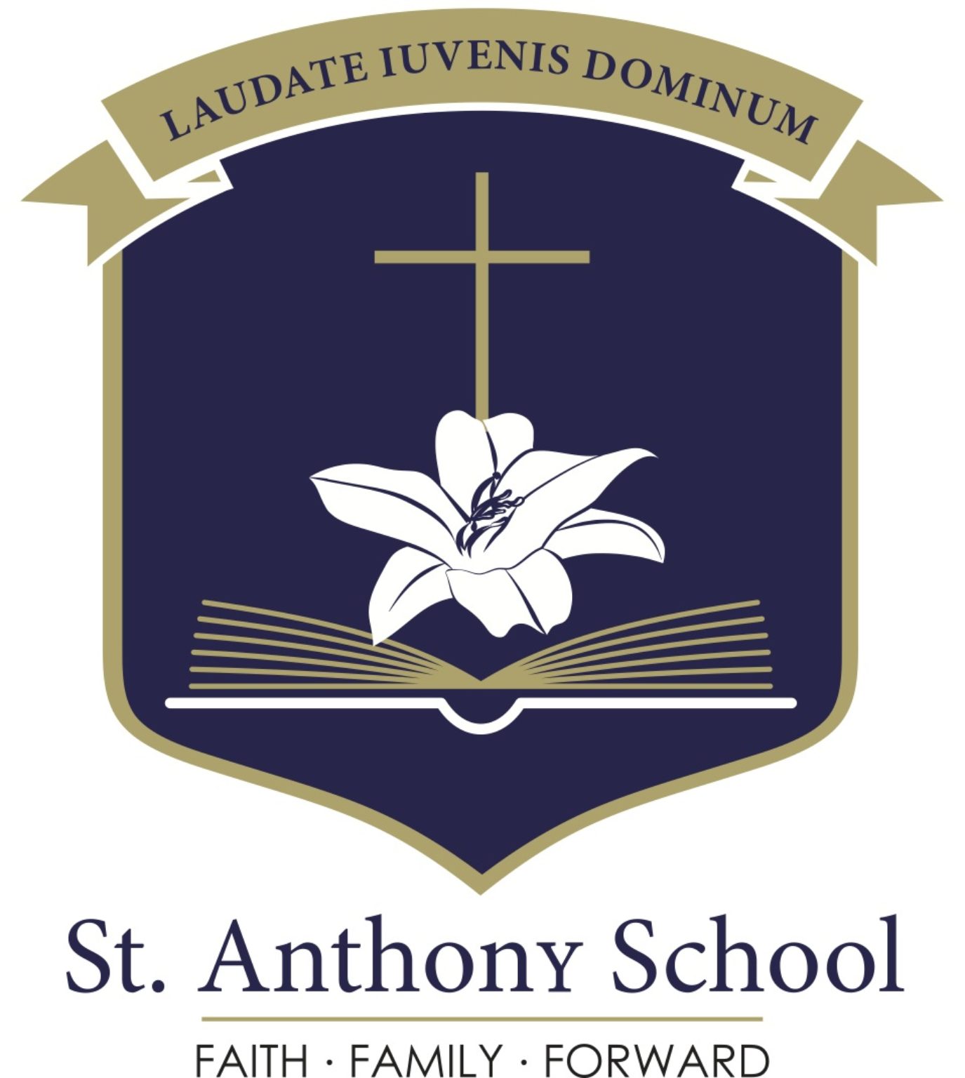 st anthony school website homework